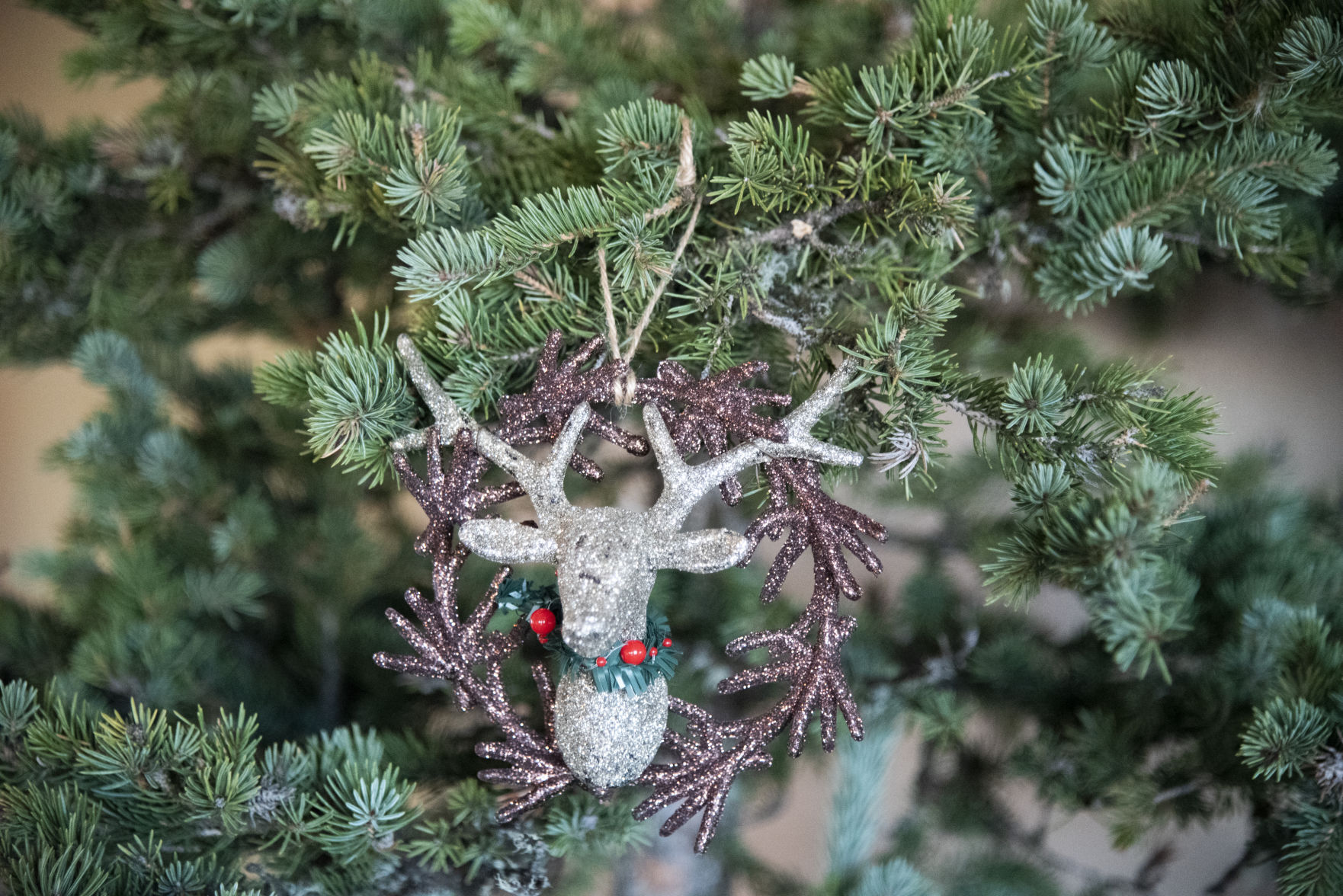 Christmas Tree Hyalite